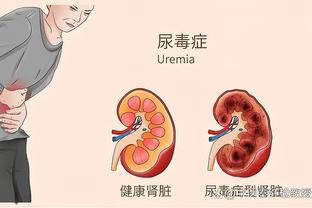 开云电竞手机版官网首页截图1